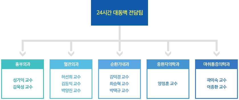 24시간 대동맥전담팀 조직구성도