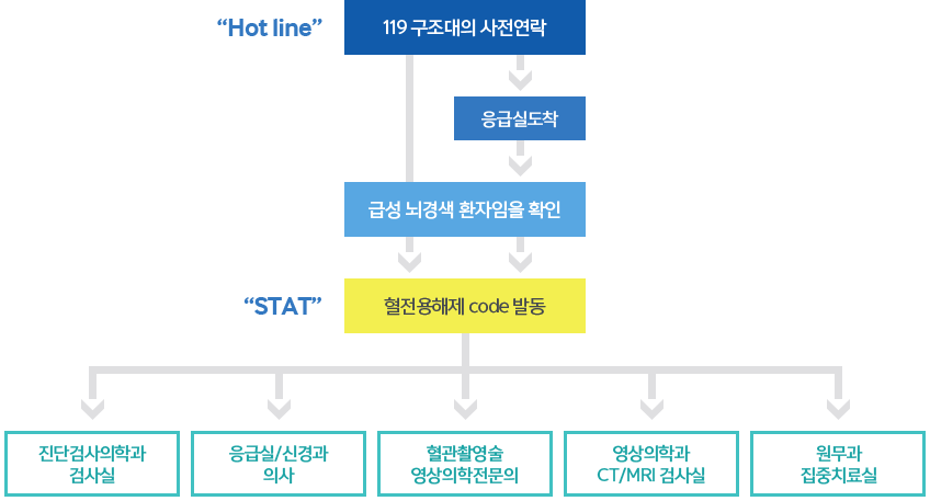 급성뇌졸중 중재팀 Hot line 순서도