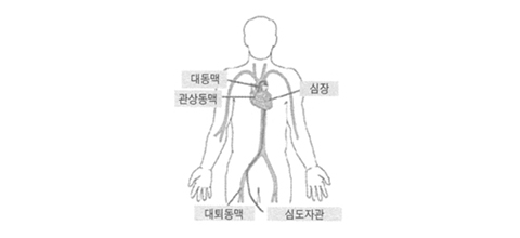 검사 시 일어나는 상황