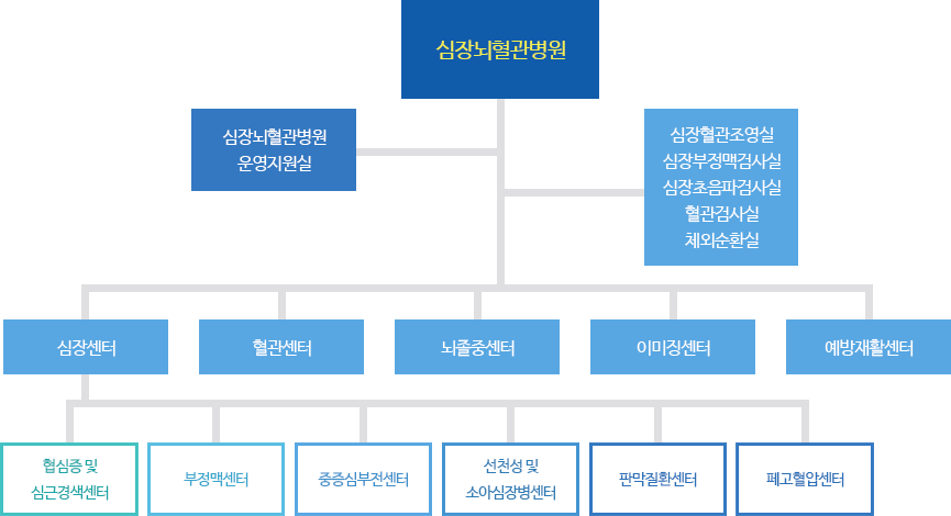 심장뇌혈관병원 조직도