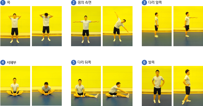 1) 목 : 머리 뒤로 손을 깍지쥔 상태에서 머리를 앞쪽으로 손으로 누른다.  2) 몸의 측면 : 양발을 어깨너비로 벌리고 팔은 펼친채로 선 뒤, 무릎을 굽히지 않고 손이 발에 닿도록 측면으로 스트레칭 해준다.  3) 다리 앞쪽 : 똑바로 선 채로 한쪽 다리를 뒤로 접고 반대쪽 손으로 접은 다리를 잡은 뒤 나머지 팔을 몸의 직각이 되도록 들어올린다.  4) 서해부 : 양 발바닥이 마주하도록 앉은 뒤 몸을 앞으로 숙인다.  5) 다리 뒤쪽 : 한쪽다리는 몸 밖으로, 다른 한쪽다리는 몸안을 향하게 놓은 상태로 앉은 뒤 몸 밖으로 향한 다리를 향해 손이 닿도록 당겨준다.  6) 발목 : 똑 바로 선 채로 한쪽 발 뒤끔치를 들어 발목을 돌려준다. 