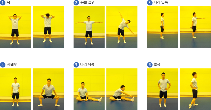 1) 목 : 머리 뒤로 손을 깍지쥔 상태에서 머리를 앞쪽으로 손으로 누른다.  2) 몸의 측면 : 양발을 어깨너비로 벌리고 팔은 펼친채로 선 뒤, 무릎을 굽히지 않고 손이 발에 닿도록 측면으로 스트레칭 해준다.  3) 다리 앞쪽 : 똑바로 선 채로 한쪽 다리를 뒤로 접고 반대쪽 손으로 접은 다리를 잡은 뒤 나머지 팔을 몸의 직각이 되도록 들어올린다.  4) 서혜부 : 양 다리를 넓게 벌리며 발은 서로 밖깥은 향하게 선다. 무릎은 구십도로 만들어준다.  5) 다리 뒤쪽 : 한쪽다리는 몸 밖으로, 다른 한쪽다리는 몸안을 향하게 놓은 상태로 앉은 뒤 몸 밖으로 향한 다리를 향해 손이 닿도록 당겨준다.  6) 발목 : 똑 바로 선 채로 한쪽 발 뒤끔치를 들어 발목을 돌려준다. 