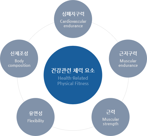 건강관련 체력 요소(Health-related physical fitness) 5가지 - 심폐지구력(Cardiovascular endurance), 근지구력(Muscular endurance), 근력(Muscular strength), 유연성(Flexibility), 신체조성(Body composition)