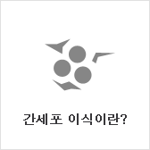 간세포 이식이란?