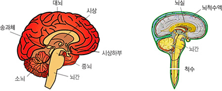 뇌종양센터 - 센터소개 - 진료센터 - 삼성서울병원 암병원