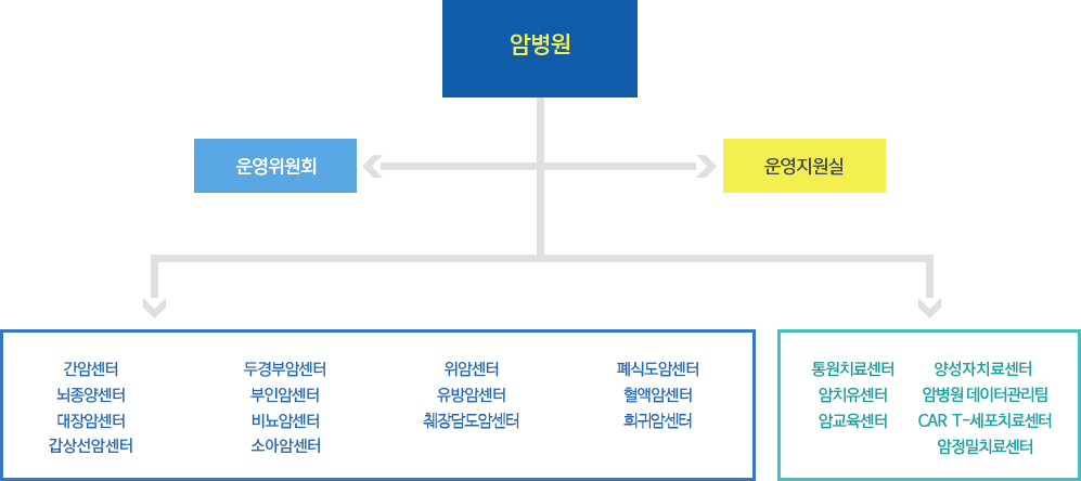 조직도 - 암병원 소개 - 삼성서울병원 암병원 조직도 - 암병원 소개 - 삼성서울병원 암병원